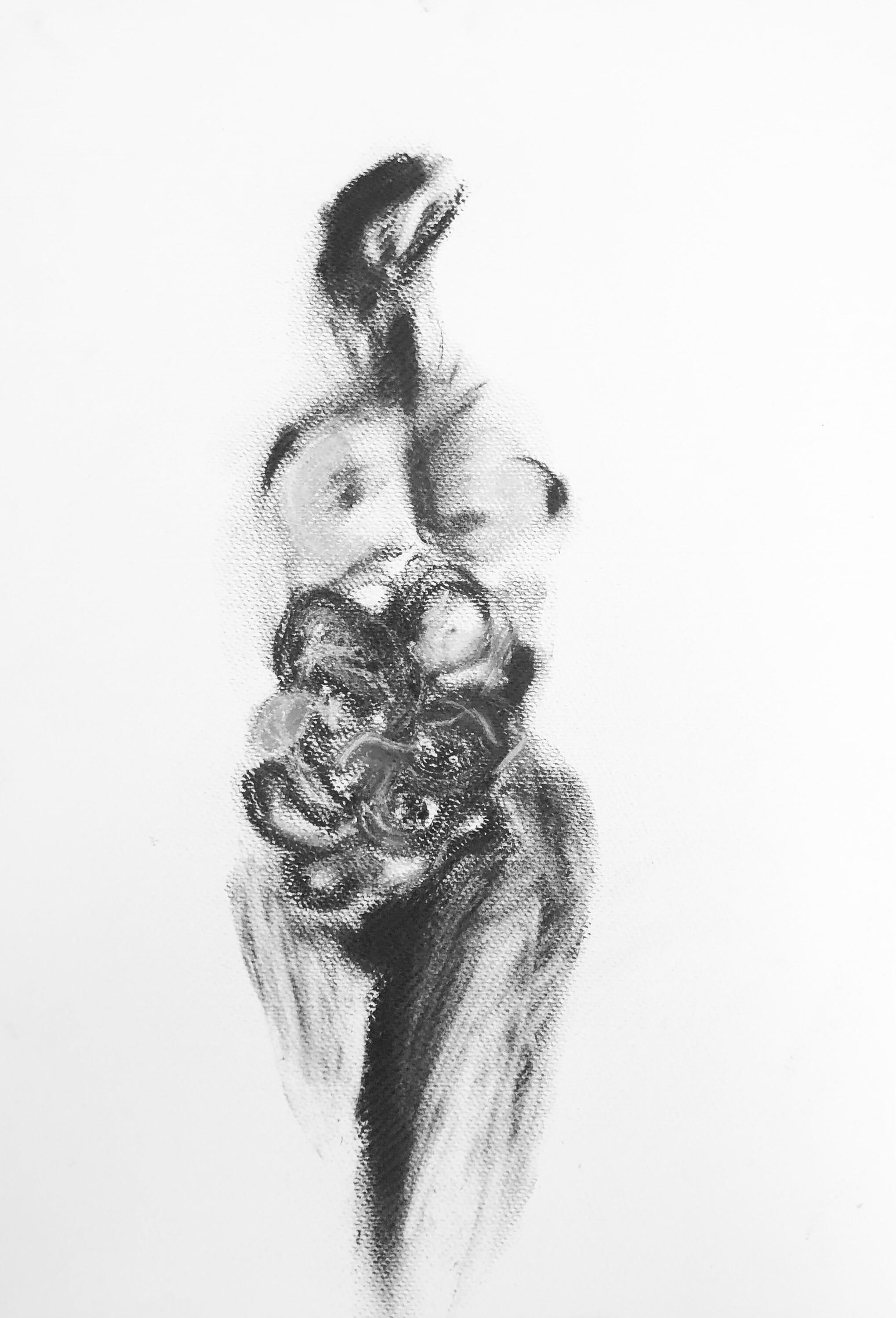Charcoal on paper 50x35 cm (19.7×13.8 in)