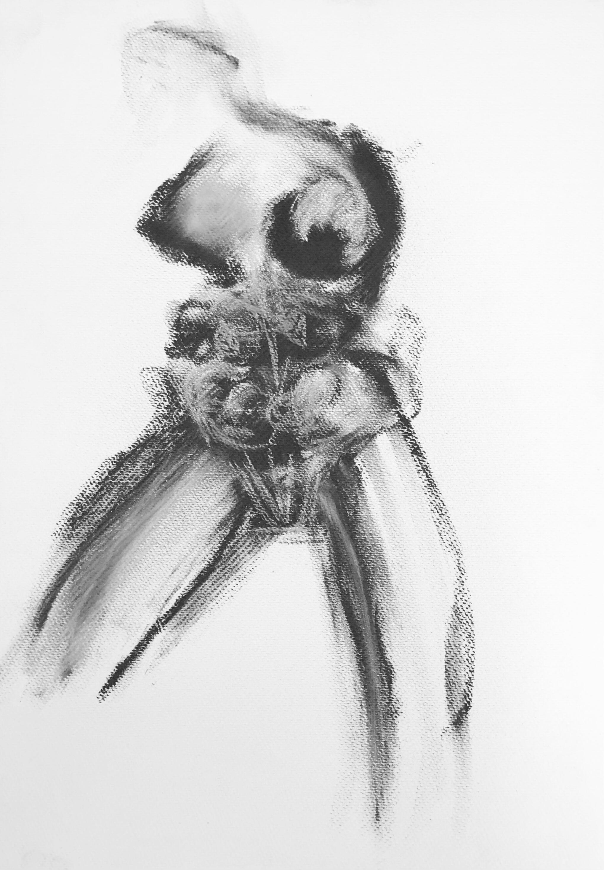 Charcoal on paper 50x35 cm (19.7×13.8 in)